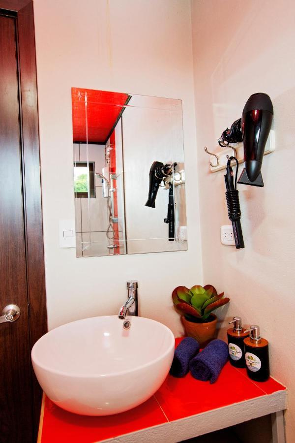 Casa Suculenta ,Monteverde Con Jacuzzi Privado Y Lavanderia Εξωτερικό φωτογραφία